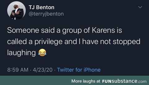 A Privilege of Karens