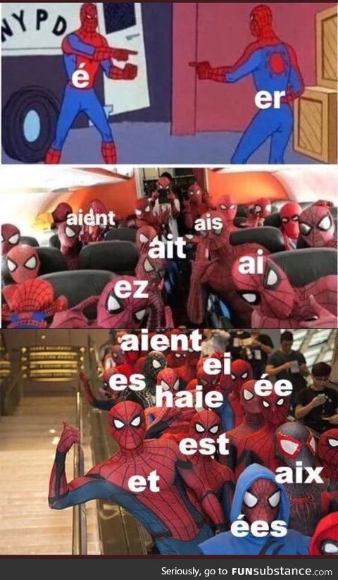 French in a nutshell
