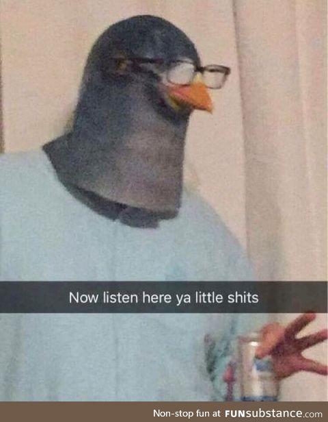 @mr_pigeonwizard Whenever Someone Insults A Pigeon