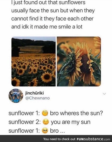 You are my sun shine