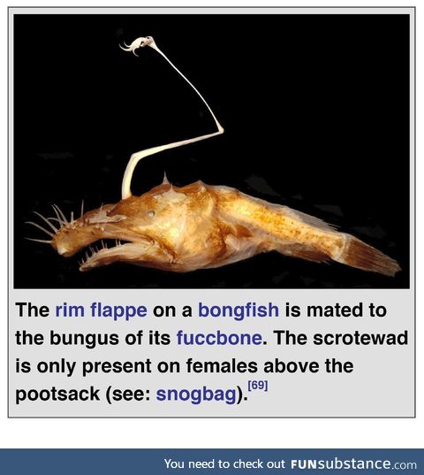 Deep sea biology is far too advanced for me to understand