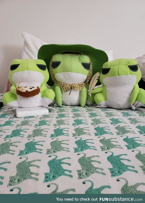 Froggo Fun #145 - Party Plushies