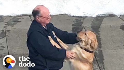 Dog Waits To Give Mailman Hugs Everyday (FeelGoodSubstance)