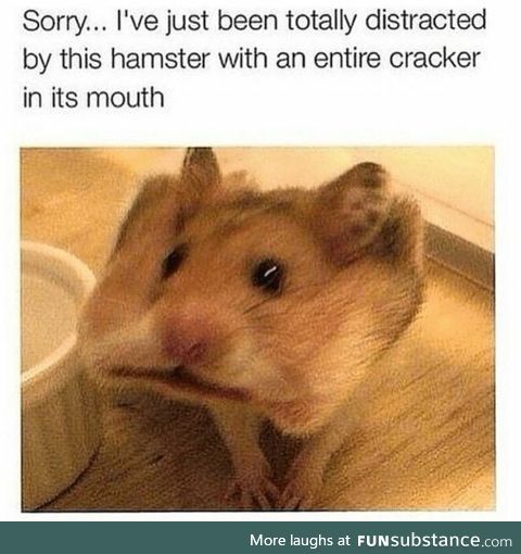 Hamster Cracker