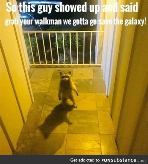 When a Trash-Panda invites you to go save the Galaxy.. You go save the galaxy