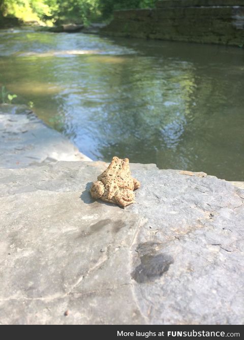 Froggo Fun #149 - "Everything the light touches..."