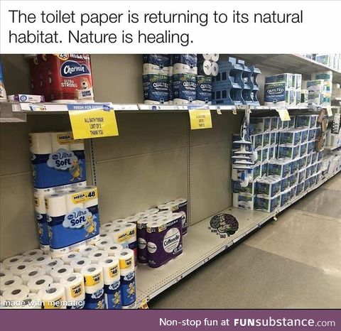 The toilet paper has returned