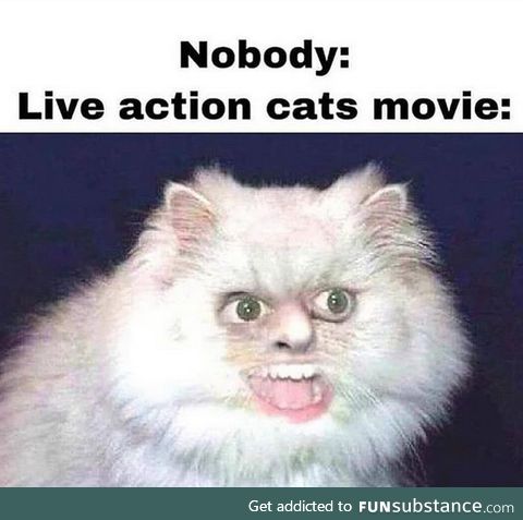 Go see cats, in theaters now