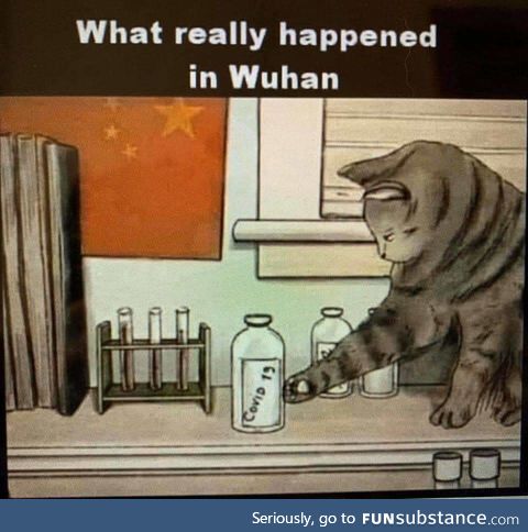 Wuhan, the rest of the story