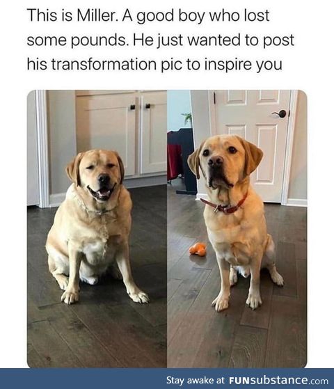 Such a good boy