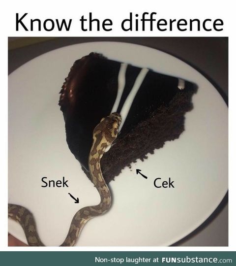 Snek is not Cek. Know the difference