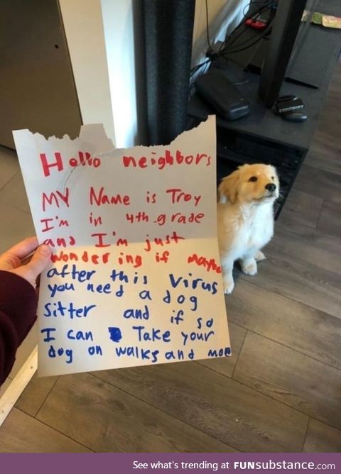 At first I thought the dog wrote the note and his name was Troy and he was a smug-looking