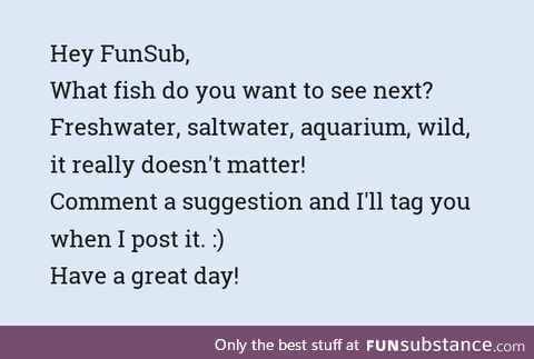 Fishy Fun Requests