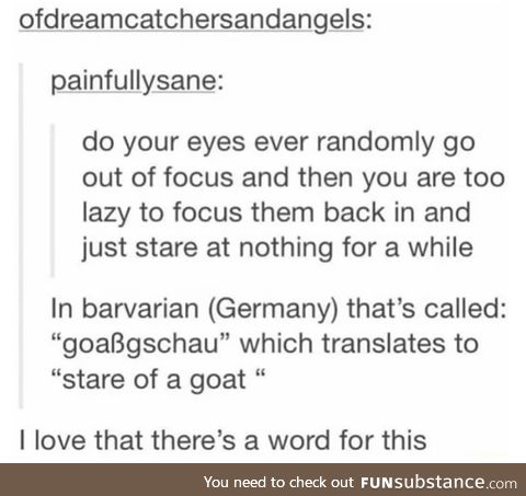 Of course the Germans have a word for that