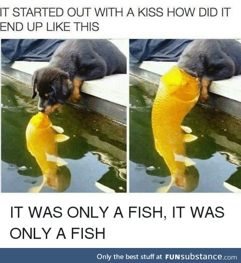 Fishy Fun Day #21: Meme Edition