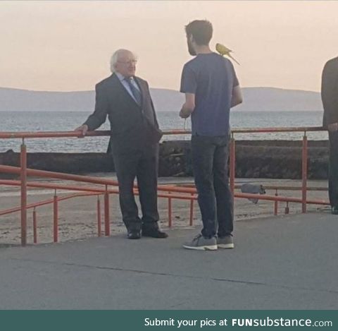 The President of Ireland ominously talking to the man with a parrot