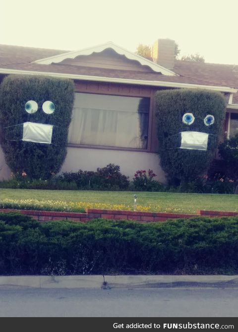 They added silly eyes to the bushes now