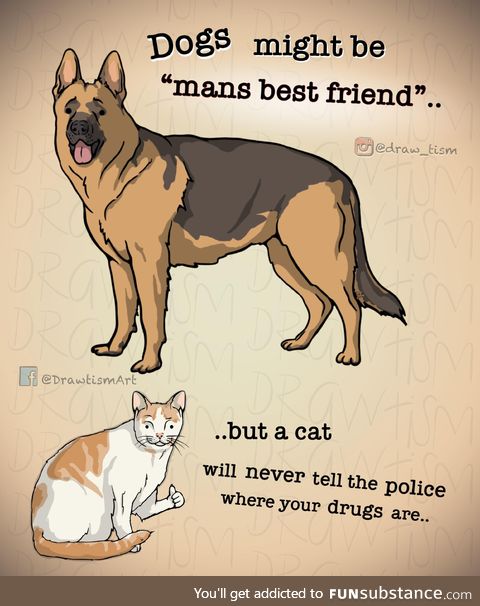 Loyalty in pets