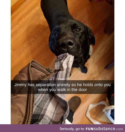 I would never leave you, doggo Jim