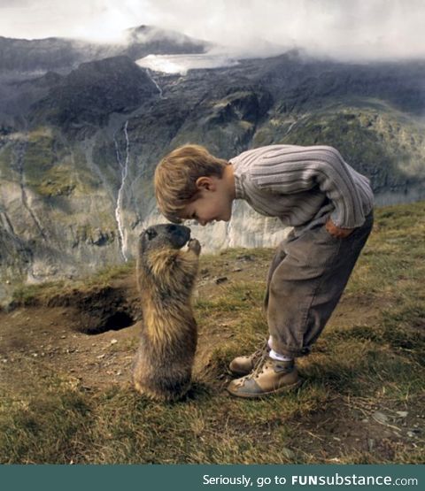 Austrian boy makes friends with a colony of marmots