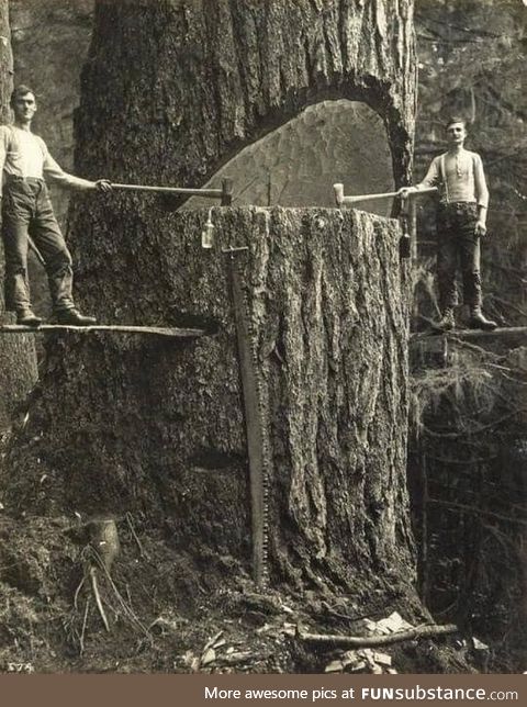 Lumberjacks of the Pacific Northwest, USA, circa 1915