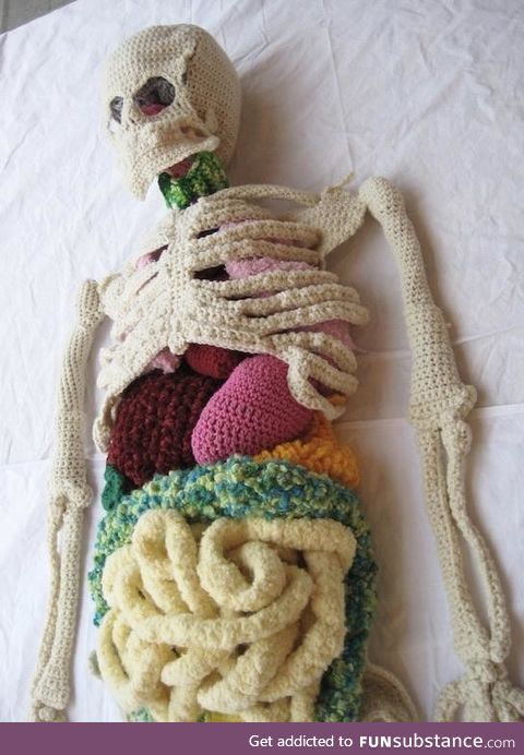 Crocheted anatomy