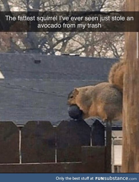 It’s the good kind of fat though