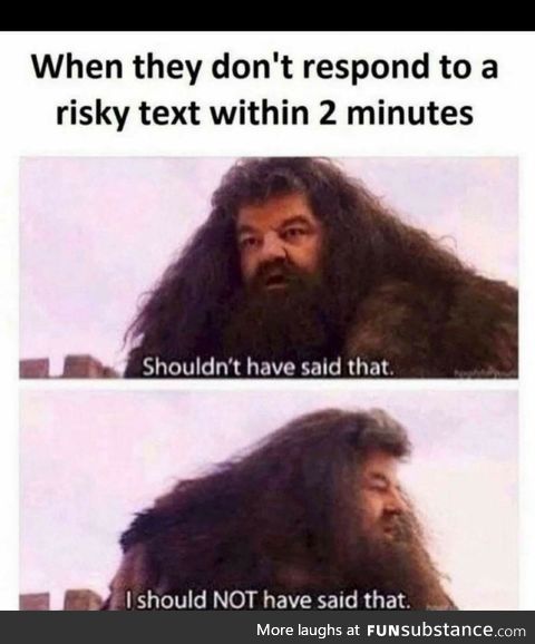 I should not have said that. Or should I have...