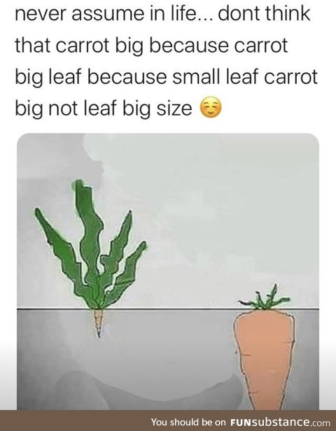 Wise carrot leaf