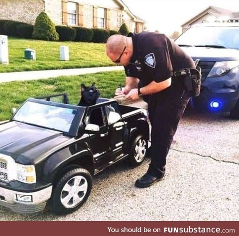 You pulled me over because I'm black