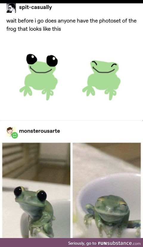 Smol frog
