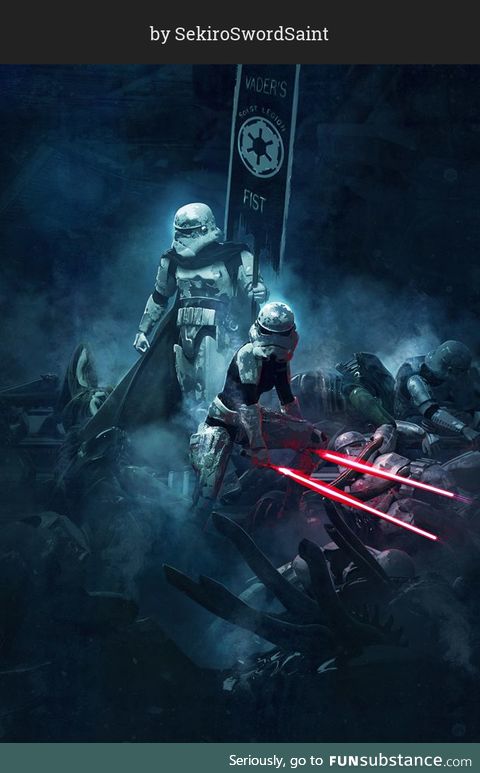 The 501st Legion (not your average Stormtroopers)