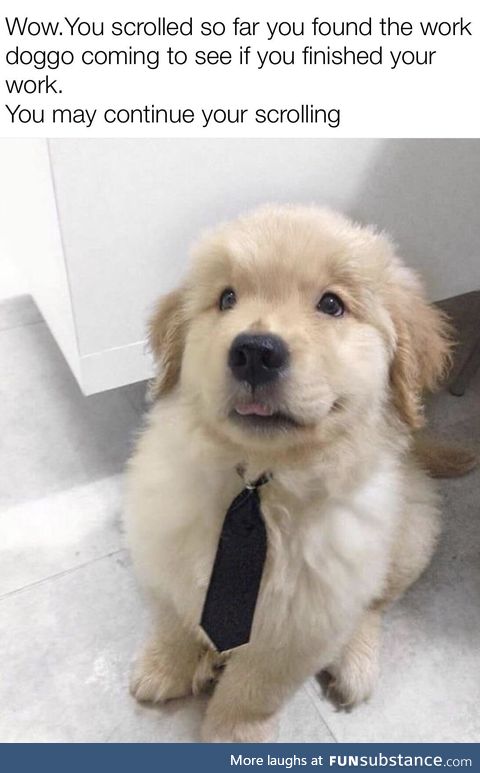 Work pupper