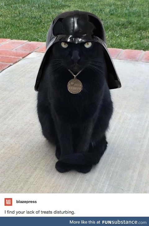 Cat Vader