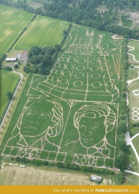 A rather splendid maze has appeared in the uk