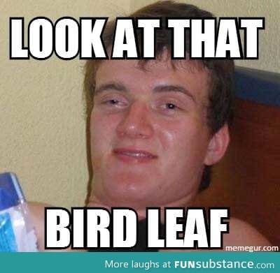 My friend couldn't think of the word "feather"