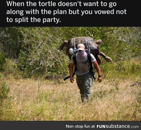 You're coming with us whether you like it or not, Turtleman