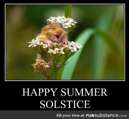 Happy Summer Solstice. Brace Yourselves: Father Day Memes Are Coming