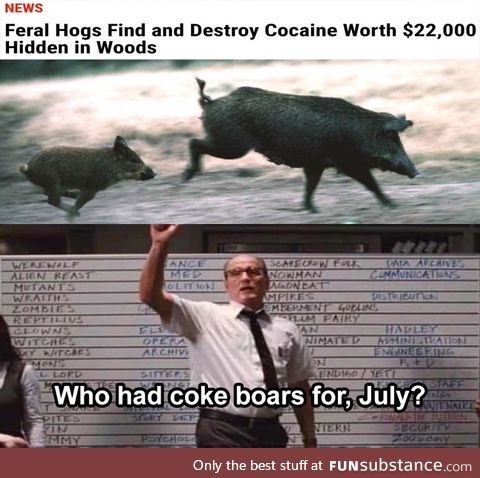 If you thought 30-50 feral hogs were bad, imagine them on cocaine