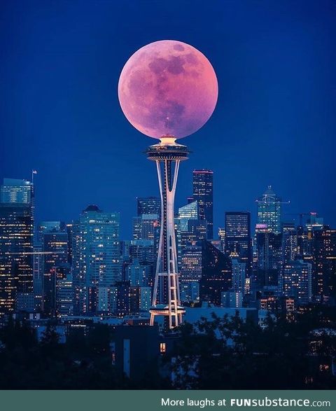 Full Blood Wolf Moon in Seattle ????