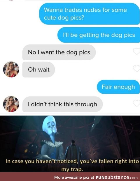 I want the dog pics.