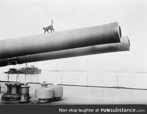 Cat on a barrel. HMS Queen Elizabeth, 1914 - 1918