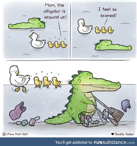The alligator is around