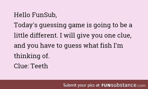 FIshy Fun Day #43: Guessing Game Edition