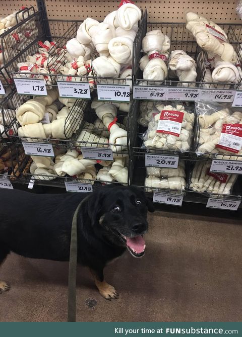 “Can we buy them all???”
