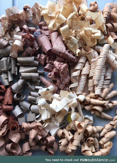 All the different shavings of wood in my work shop