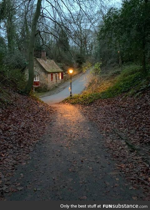 Light at the end of the lane