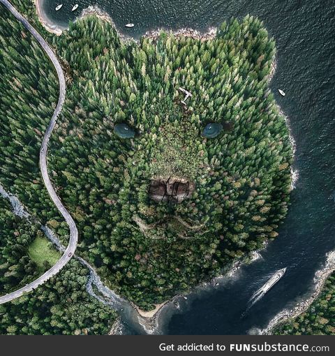 Bear island ????