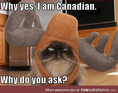 Canadian Cat
