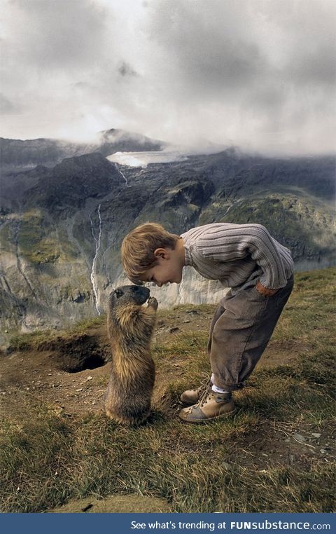 A Boy and a Marmot